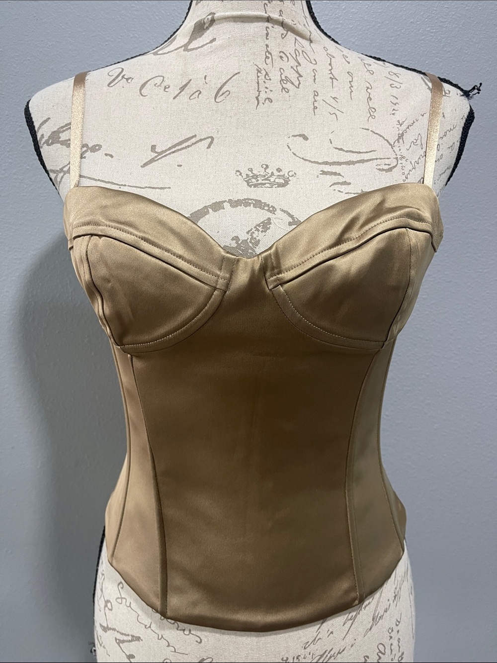 Ten Aritzia Satin Bustier Corset Top in Champagne